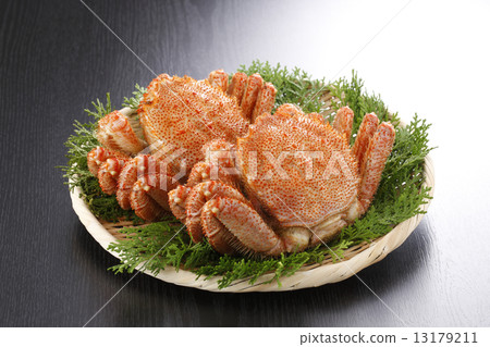 波西爾毛蟹 13179211