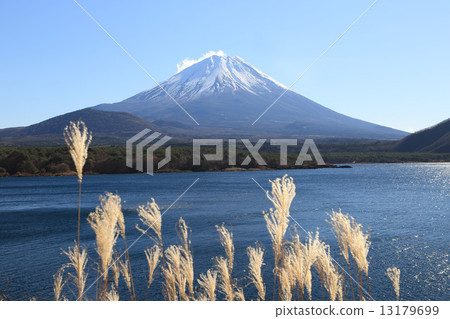 本栖湖和富士山 13179699