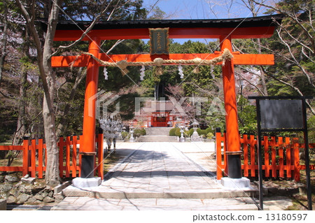 新鮮的綠色，大原神社的京都 13180597