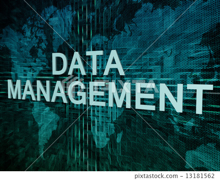 Data Management 13181562
