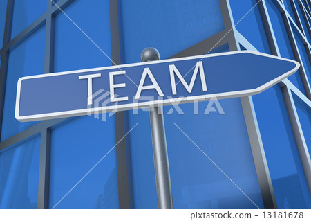 Team Team 13181678