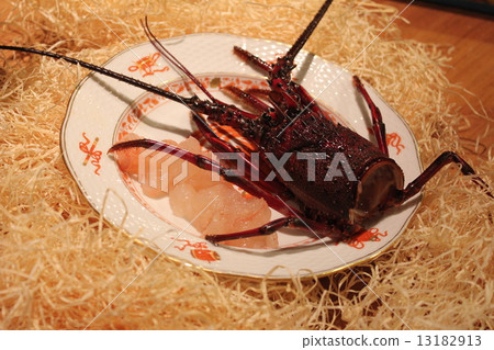 Shrimp Ise 13182913