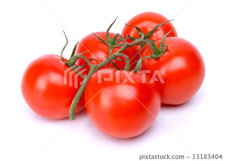 branch of tomatoes 13183404