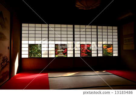 Like four photos 13183486