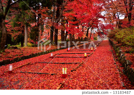 Bishamondo秋葉入口 13183487