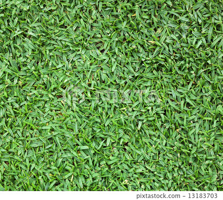 lawn 13183703