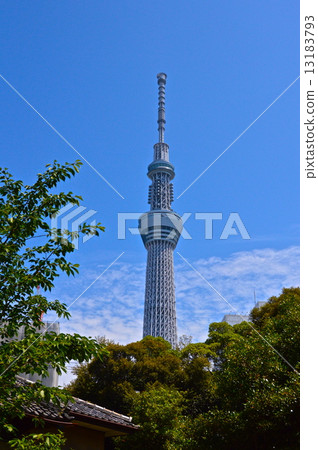 "Sky tree" viewed from Sumida Park (Sumida Ward, Tokyo) "Sky tree" viewed from Sumida Park (Sumida Ward, Tokyo) 13183793