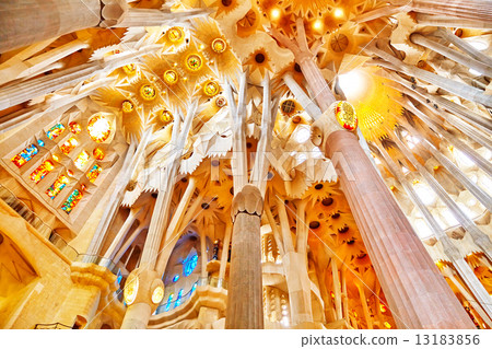 Sagrada Familia,beautiful and majestic  interior view. 13183856