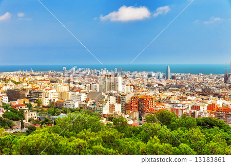 Panorama on Barcelona city from Montjuic castle.Catalonia. Panorama on Barcelona city from Montjuic castle.Catalonia. 13183861