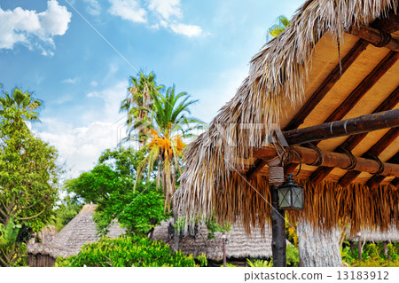 Beautiful landscape of humid tropical jungle. 13183912