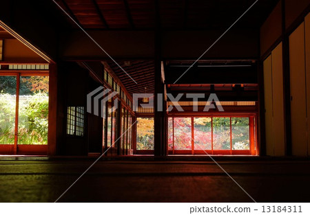 Landscape with autumn leaves Landscape with autumn leaves 13184311