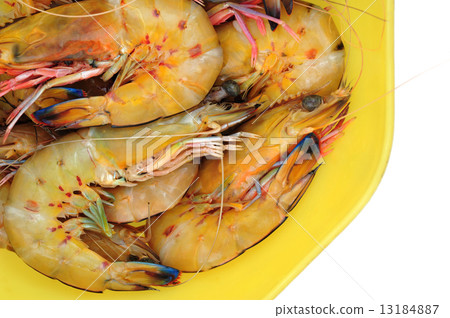 shrimp shrimp 13184887