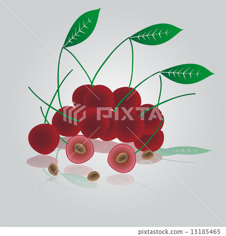 colorful cherries eps10 colorful cherries eps10 13185465