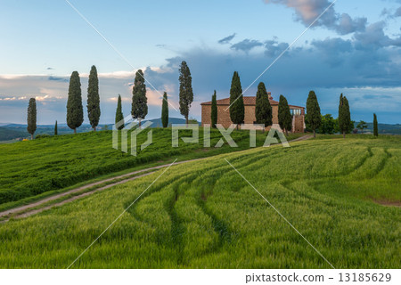 typical tuscan landscape 13185629