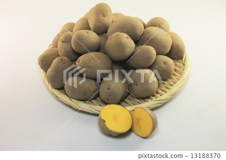 Awakening of the Inca Awakening of the Inca 13188370