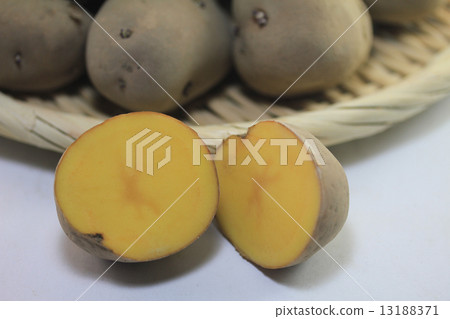 Awakening of the Inca 13188371