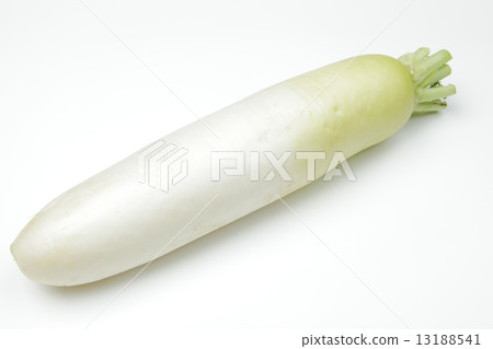 Japanese radish 13188541