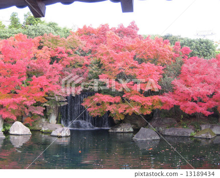 Fall of old garden 13189434