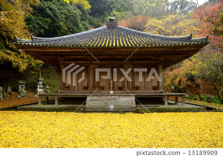 在秋葉的Fukudoji 13189909