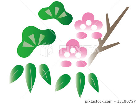 plum	 13190757