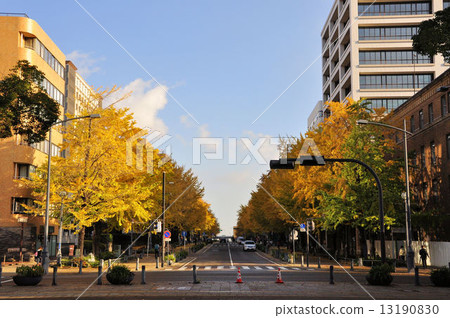 Autumn Yokohama Japan Boulevard Autumn Yokohama Japan Boulevard 13190830