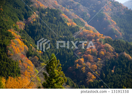 Fall of Tōgen Geno Iya Fall of Tōgen Geno Iya 13191338