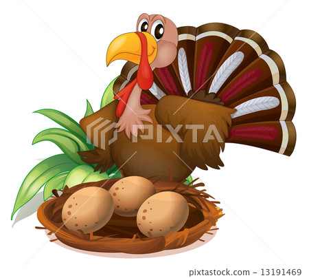 A turkey beside the nest with eggs 13191469