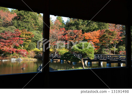 昭和紀念公園 昭和紀念公園 13191498