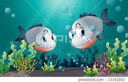 Two big grey fishes under the sea Two big grey fishes under the sea 13191802