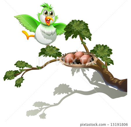 A cute bird at the branch of a tree with a nest 13191806