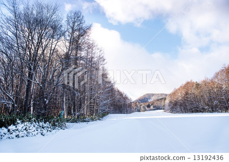 Beautiful landscape of winter 13192436
