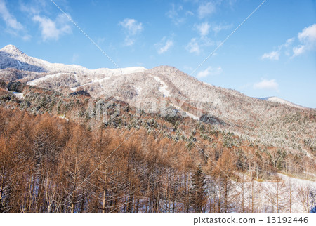 Beautiful landscape of winter season 13192446