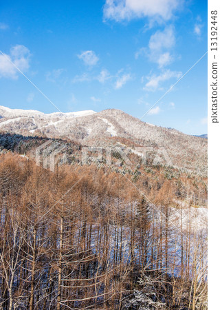 Beautiful landscape of winter season 13192448