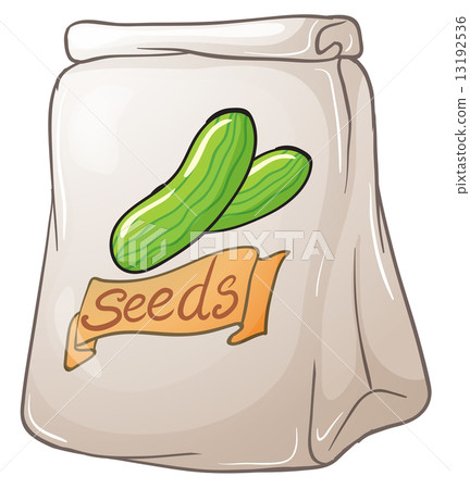 A pack of cucumber seeds 13192536