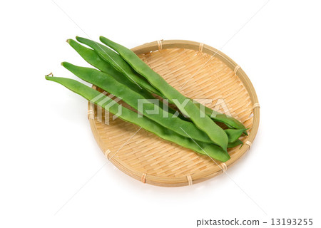 巨型豆醬 13193255