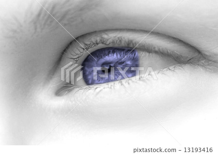 Woman eye 13193416