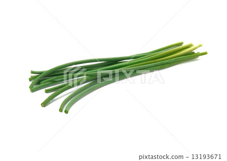 Buds of garlic 13193671
