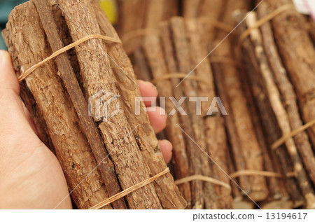 Branch of Matthavi 13194617