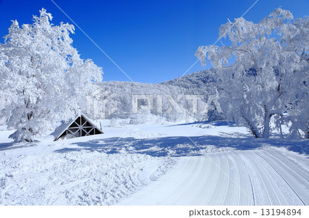 Zao Onsen Ski Resort Zao Onsen Ski Resort 13194894