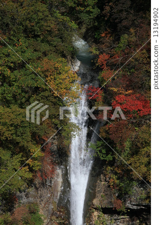Komagami Falls and autumn leaves Komagami Falls and autumn leaves 13194902