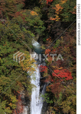 Komagami Falls and autumn leaves Komagami Falls and autumn leaves 13194903