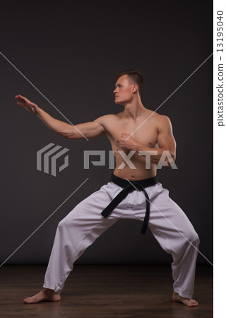 Handsome karate enthusiast Handsome karate enthusiast 13195040