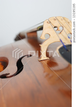 contrabass contrabass 13195195