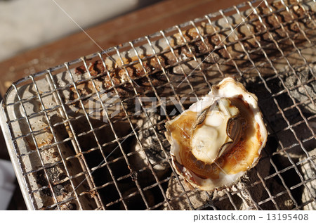 Seasoned oyster boiled on wire mesh Seasoned oyster boiled on wire mesh 13195408