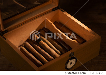 The art of cigars 13196335