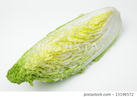 Cut Chinese cabbage Cut Chinese cabbage 13196572
