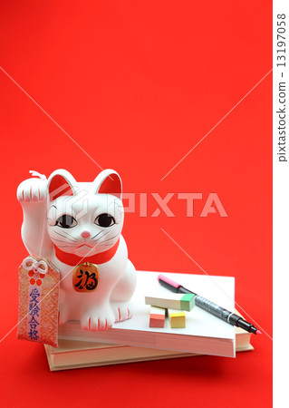 Successful wish Successful wish 13197058