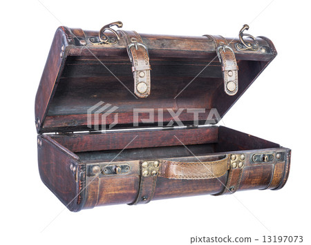 retro suitcase 13197073