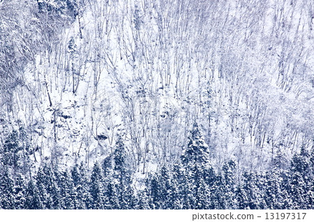 snow          13197317