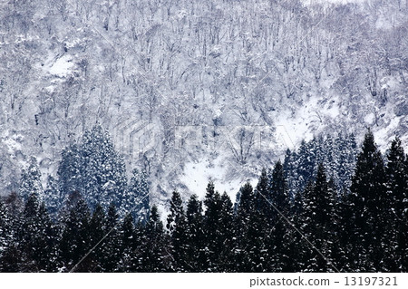 snow          13197321